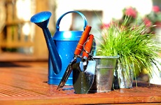 gardening supplies on a table