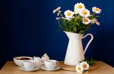 White vase of daisies and two white tea cups on apartment kitchen table