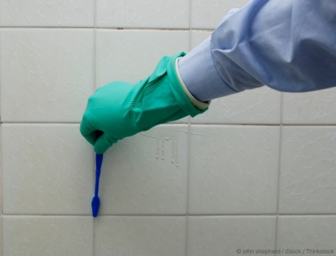 Cleaning Grout With Toothbrush