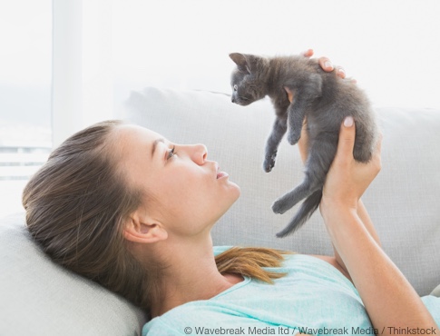 Cheerful woman lying on sofa holding a grey kitten