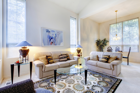 Contemporary living room rug 