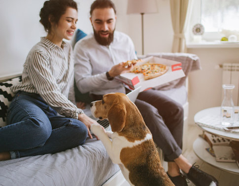 Young hipster male and female couple home eating pizza with laptop and dog