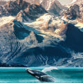 Alaska whale watching boat excursion. Inside passage mountain range landscape luxury travel cruise concept.