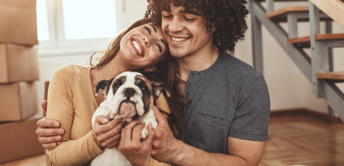 A young couple nestles together with moving boxes in the background holding a bulldog puppy.
