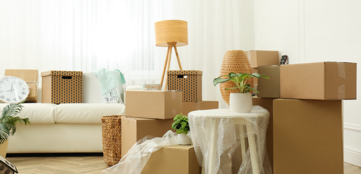 Moving boxes in a room with potted plants.