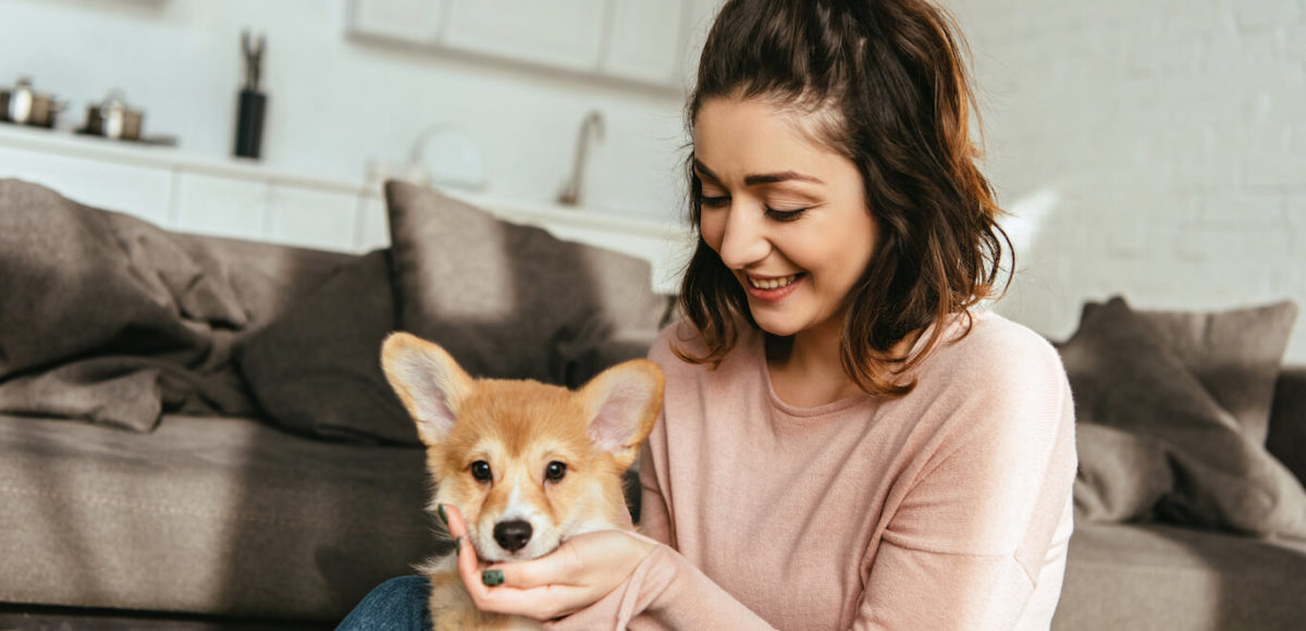 Young woman in pink shirt holds corgi puppy in her lap as she sits on the floor.