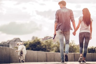Happy couple holding hands while walking dog.