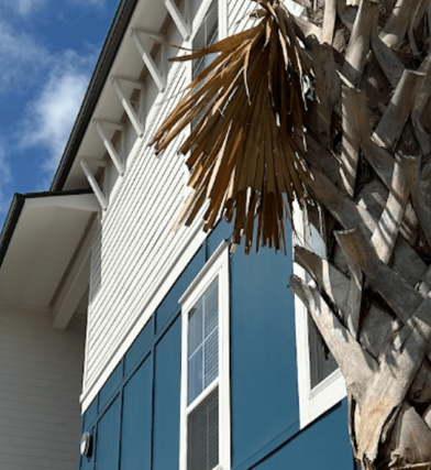 The outside of a blue apartment building with a palm tree in front.